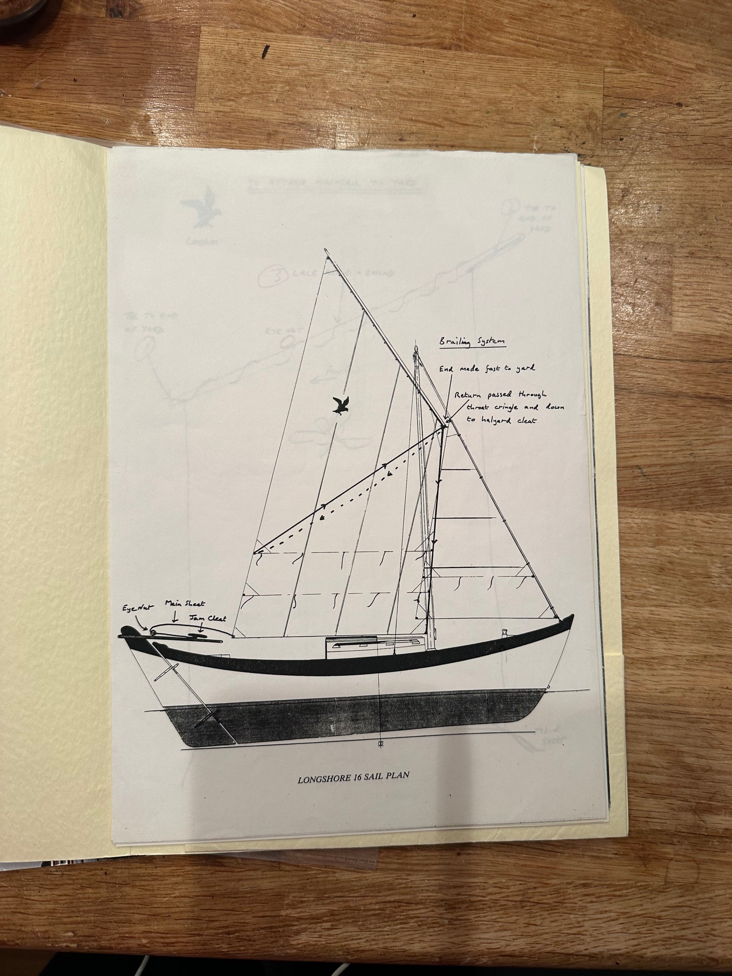 Longshore 16